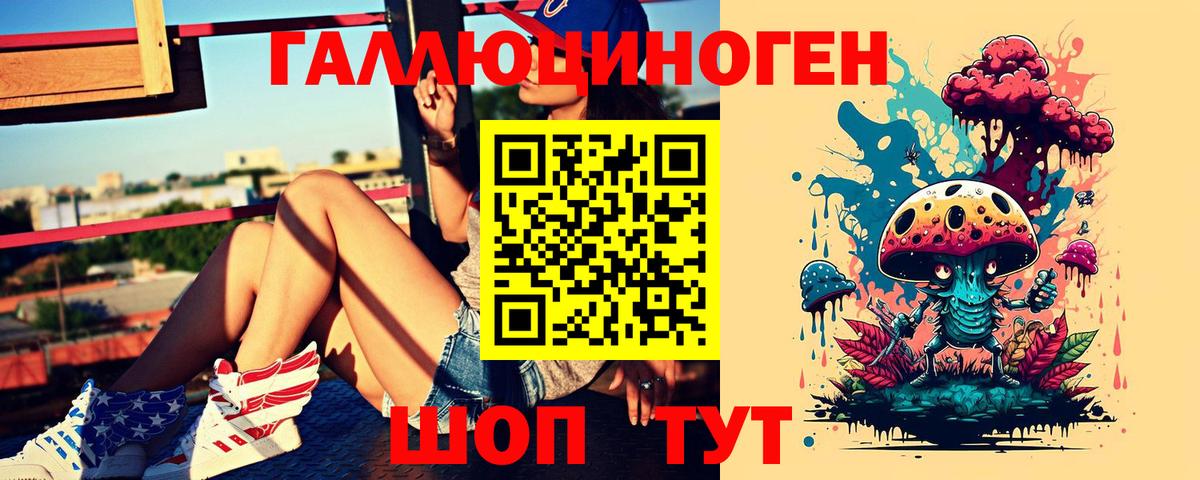 Зеленогорск  Псилоцибиновые грибы GOLDEN TEACHER  где купить   Вход с VPN 