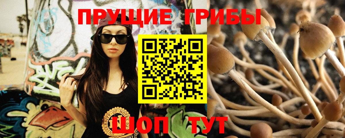 Галлюциногенные грибы GOLDEN TEACHER Зеленогорск
